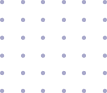 Company Overview